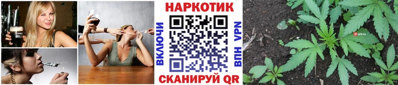 Какие есть наркотики Задонск мега зеркало  Галлюциногенные грибы  Конопля  ГАШ  COCAIN 